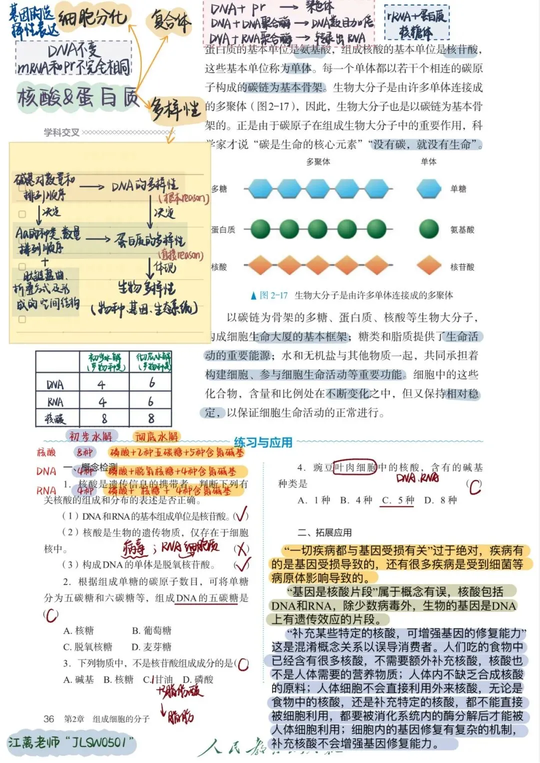 《核酸是遗传信息的携带者》试卷完整解析+易错知识点汇总-第3张图片-四季读书网