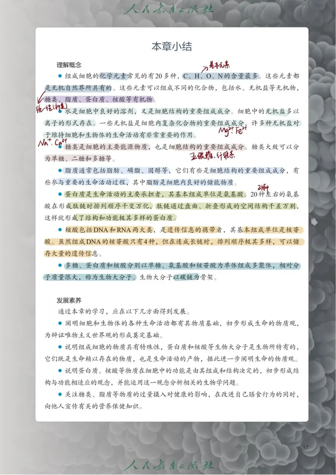 《核酸是遗传信息的携带者》试卷完整解析+易错知识点汇总-第4张图片-四季读书网