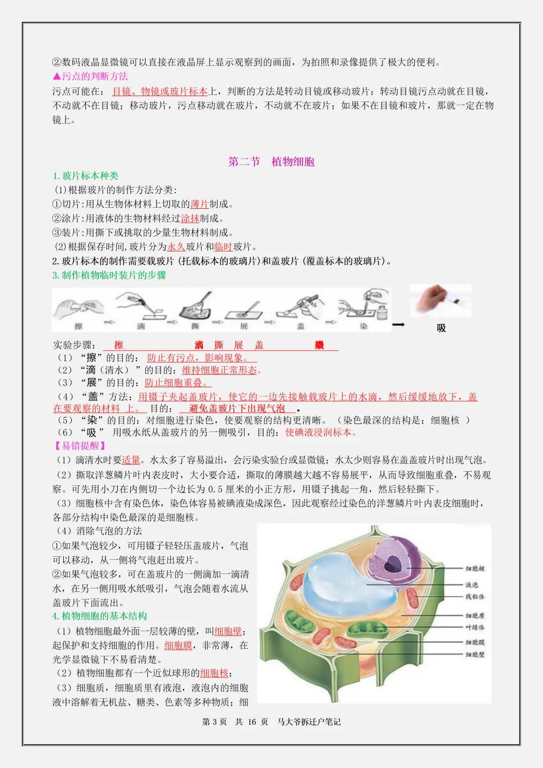 【初一】2026秋七年级上册生物全册必背核心知识点汇总,有高清完整版可打印-第5张图片-四季读书网 【初一】2026秋七年级上册生物全册必背核心知识点汇总,有高清完整版可打印-第5张图片-四季读书网