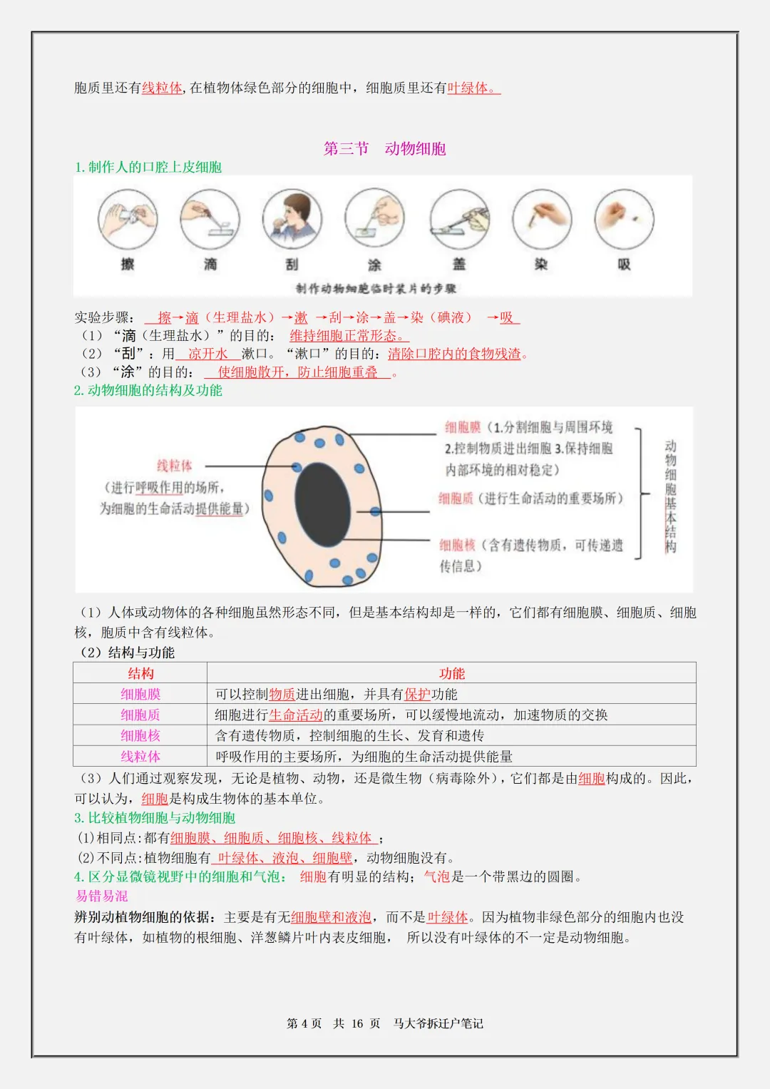 【初一】2026秋七年级上册生物全册必背核心知识点汇总,有高清完整版可打印-第6张图片-四季读书网 【初一】2026秋七年级上册生物全册必背核心知识点汇总,有高清完整版可打印-第6张图片-四季读书网