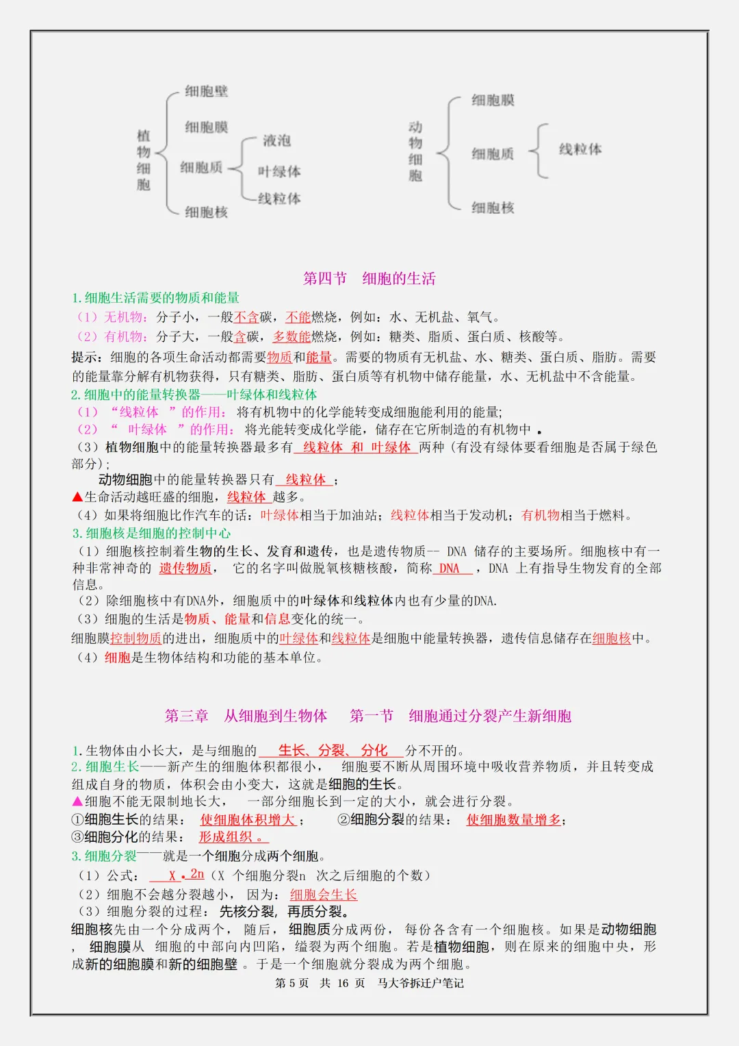 【初一】2026秋七年级上册生物全册必背核心知识点汇总,有高清完整版可打印-第7张图片-四季读书网 【初一】2026秋七年级上册生物全册必背核心知识点汇总,有高清完整版可打印-第7张图片-四季读书网