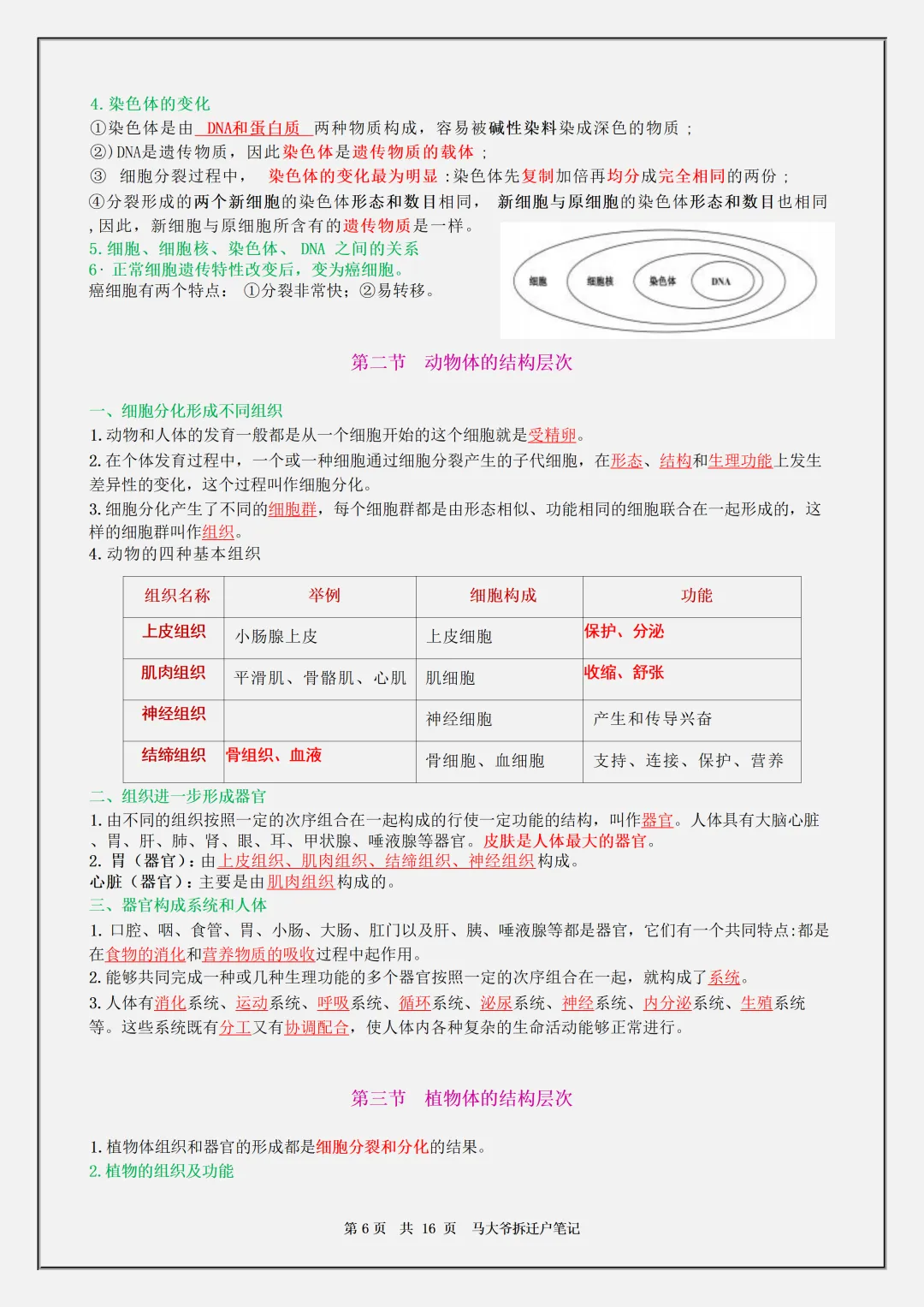 【初一】2026秋七年级上册生物全册必背核心知识点汇总,有高清完整版可打印-第8张图片-四季读书网 【初一】2026秋七年级上册生物全册必背核心知识点汇总,有高清完整版可打印-第8张图片-四季读书网