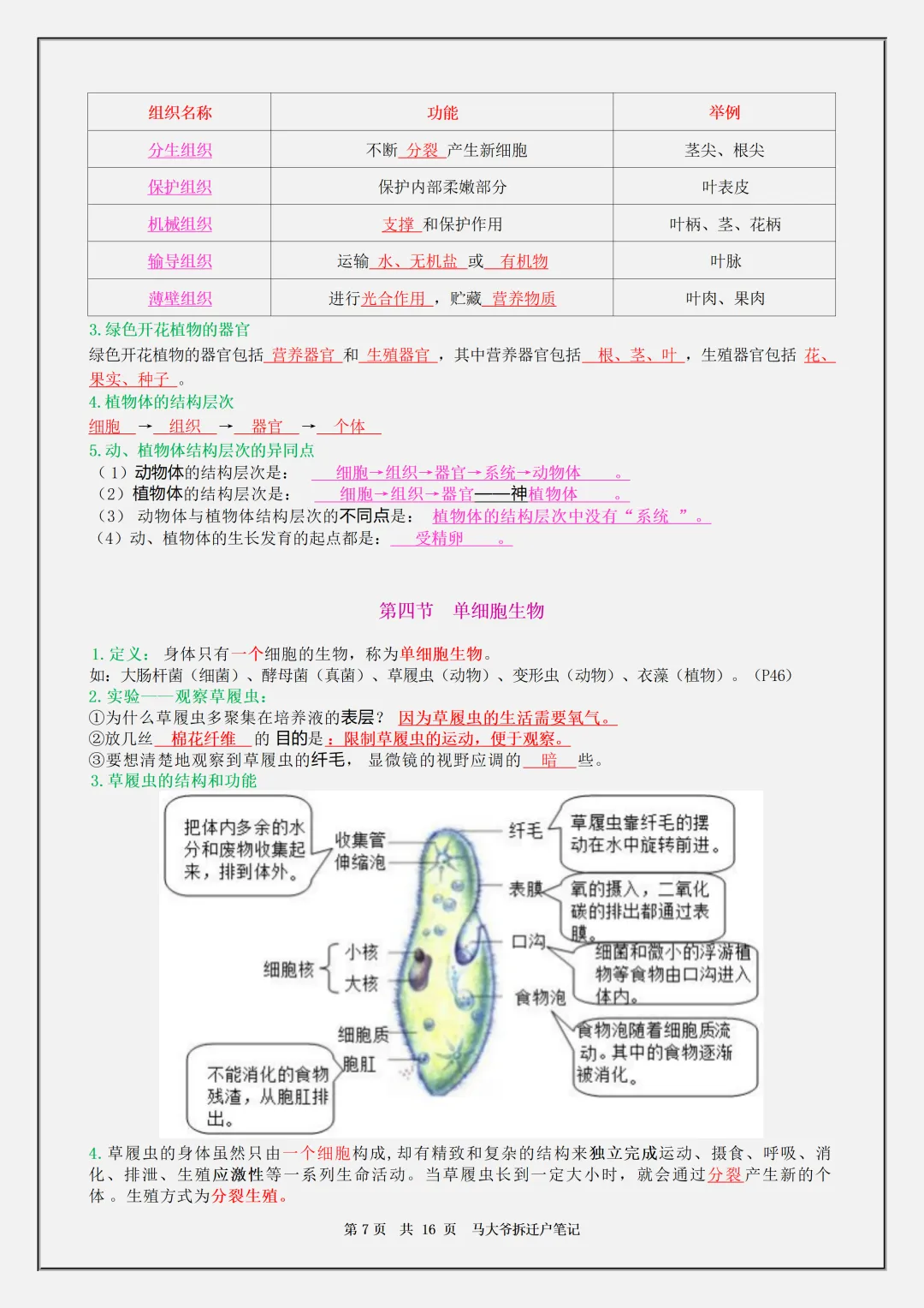 【初一】2026秋七年级上册生物全册必背核心知识点汇总,有高清完整版可打印-第9张图片-四季读书网 【初一】2026秋七年级上册生物全册必背核心知识点汇总,有高清完整版可打印-第9张图片-四季读书网