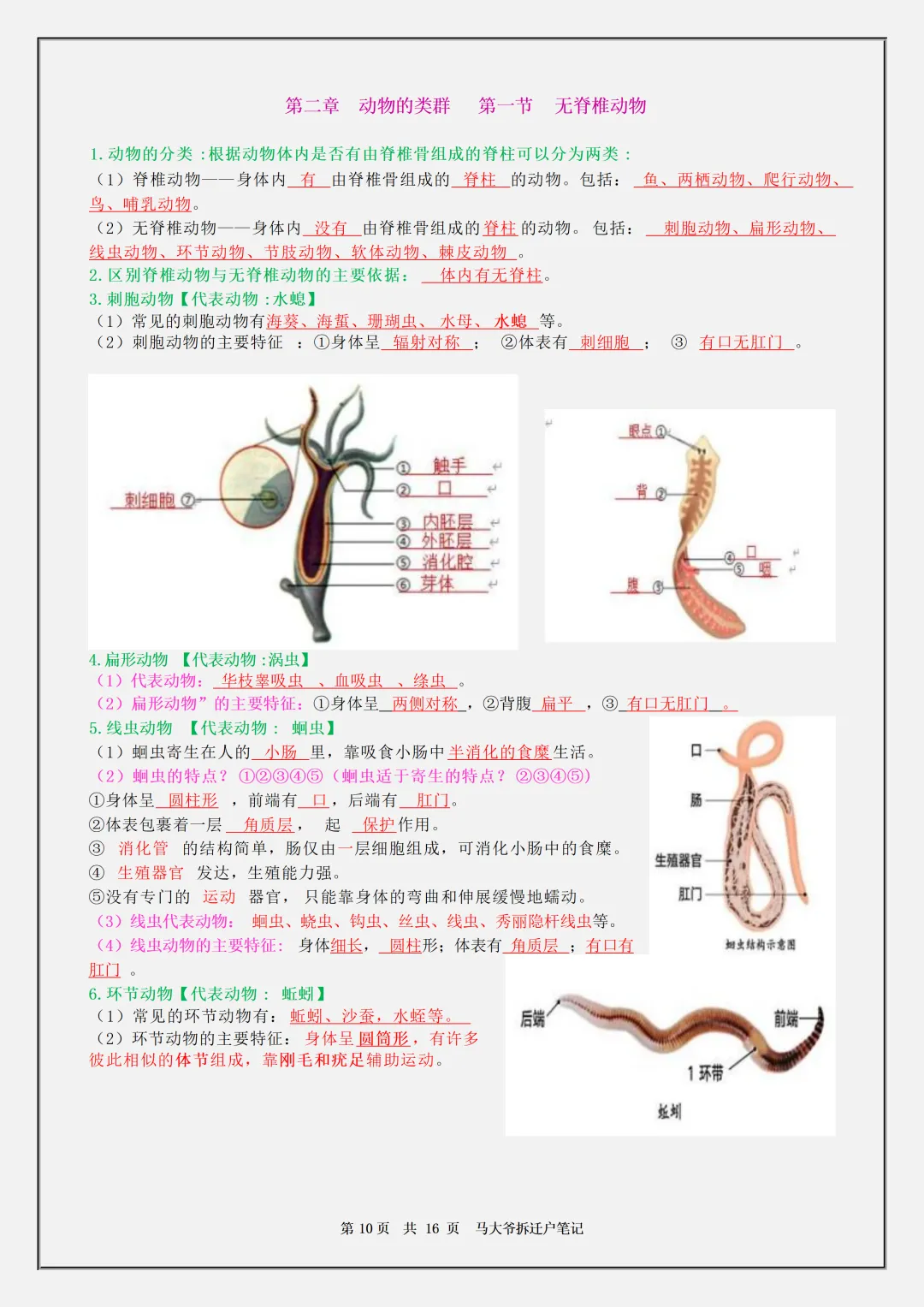 【初一】2026秋七年级上册生物全册必背核心知识点汇总,有高清完整版可打印-第12张图片-四季读书网 【初一】2026秋七年级上册生物全册必背核心知识点汇总,有高清完整版可打印-第12张图片-四季读书网