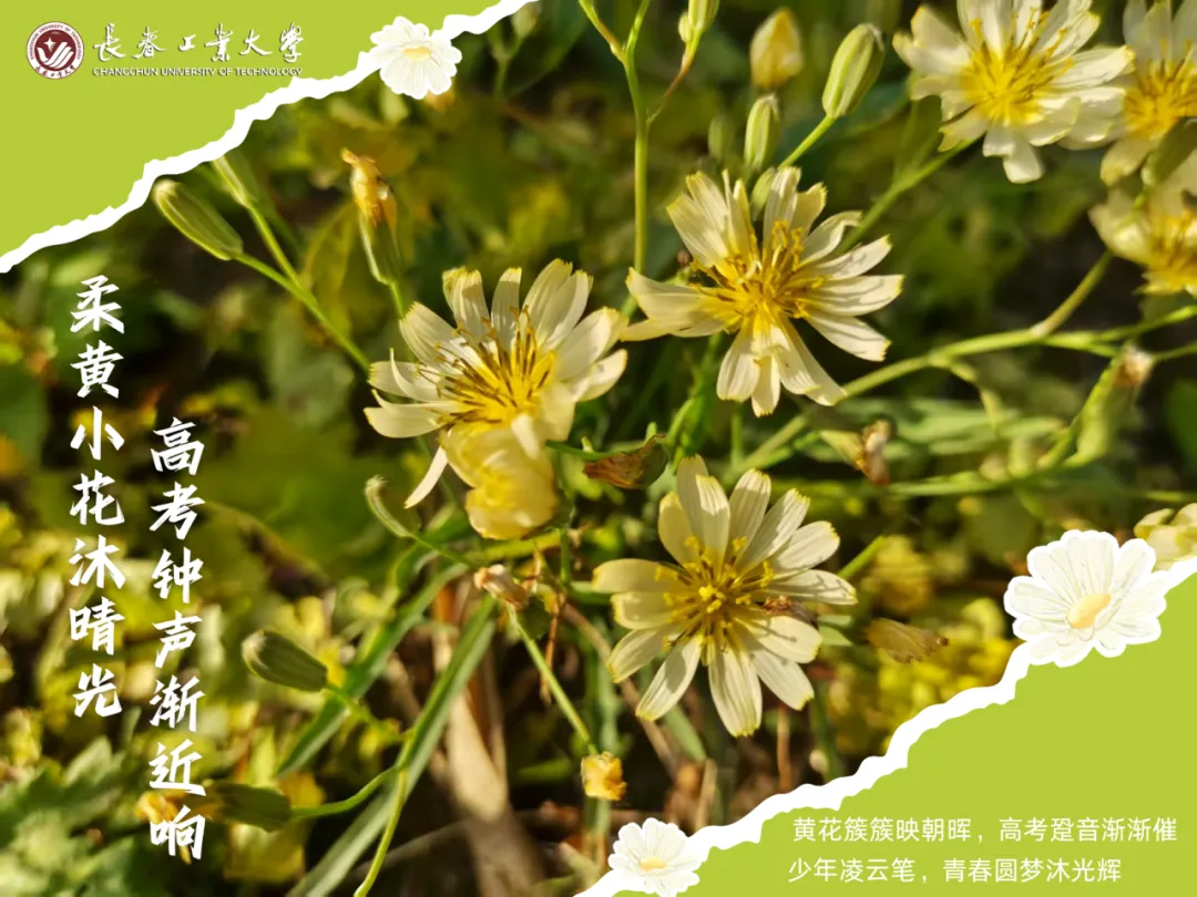 高考倒计时8天!赴青春之约-第2张图片-四季读书网 高考倒计时8天!赴青春之约-第2张图片-四季读书网