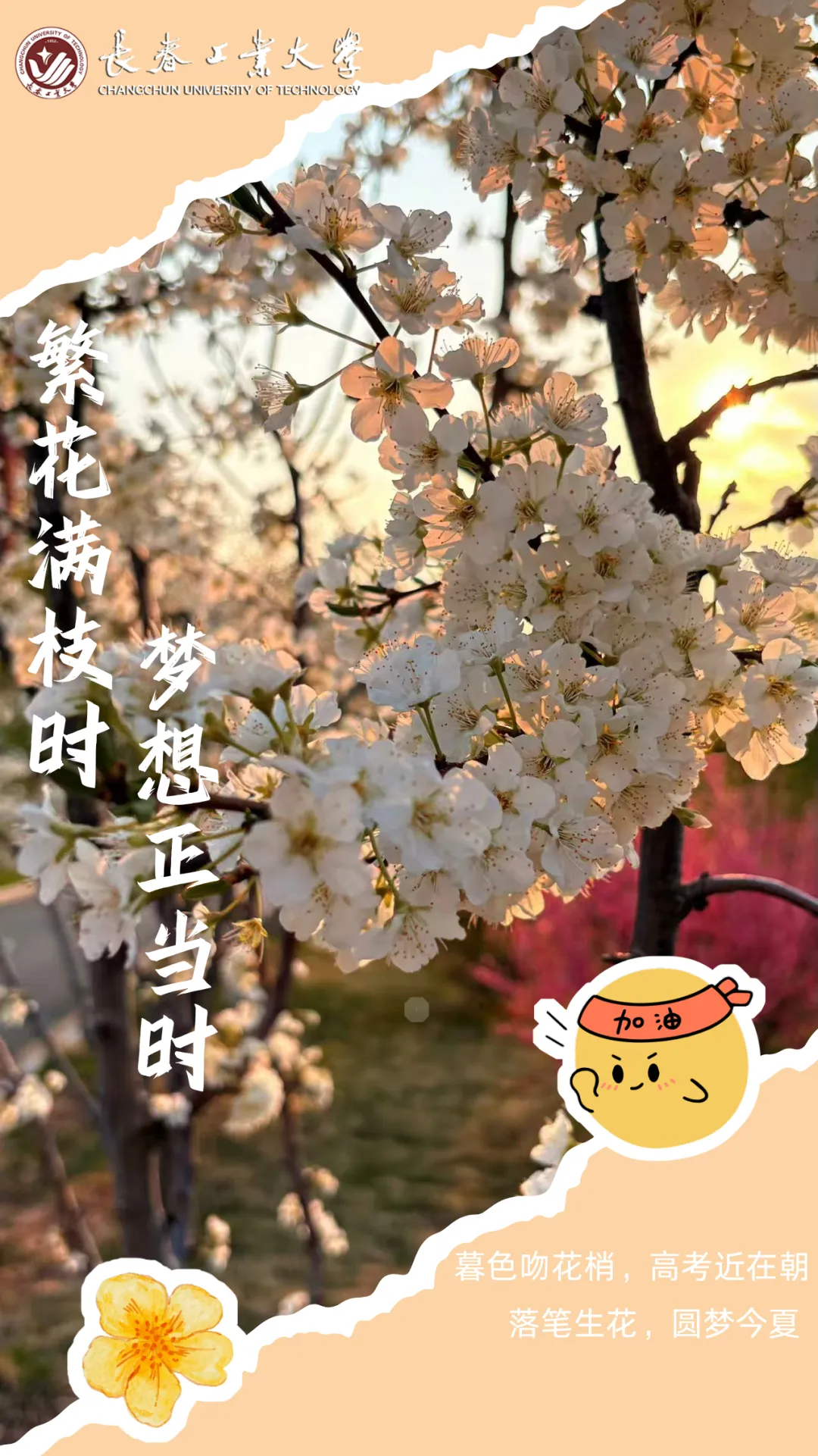 高考倒计时8天!赴青春之约-第6张图片-四季读书网 高考倒计时8天!赴青春之约-第6张图片-四季读书网