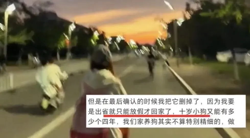 高考分数够上外省一本,他却为了10岁小狗留在省内读二本:大学有4年,可它还能有几个4年?-第6张图片-四季读书网