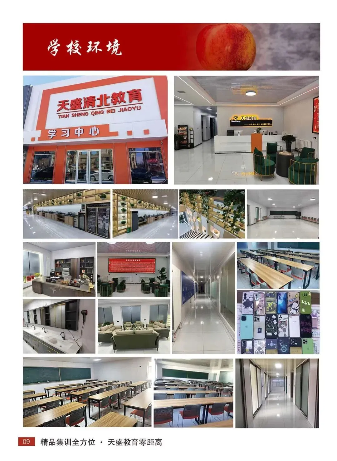 哈尔滨天盛教育2027年高考复读集训营全日制招生简章-第14张图片-四季读书网 哈尔滨天盛教育2027年高考复读集训营全日制招生简章-第14张图片-四季读书网