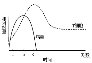 生物高考真题 | 2023年高考生物真题(广东卷)-第4张图片-四季读书网