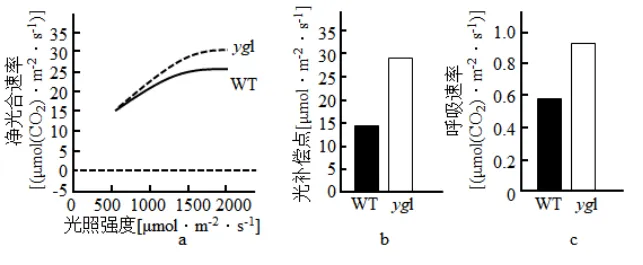 生物高考真题 | 2023年高考生物真题(广东卷)-第7张图片-四季读书网