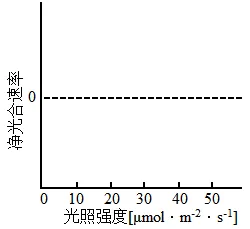 生物高考真题 | 2023年高考生物真题(广东卷)-第8张图片-四季读书网
