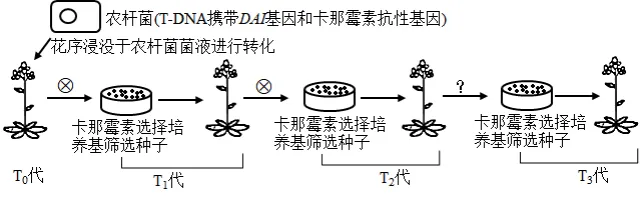 生物高考真题 | 2023年高考生物真题(广东卷)-第10张图片-四季读书网