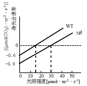 生物高考真题 | 2023年高考生物真题(广东卷)-第12张图片-四季读书网