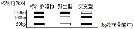 生物高考真题 | 2023年高考生物真题(广东卷)-第13张图片-四季读书网