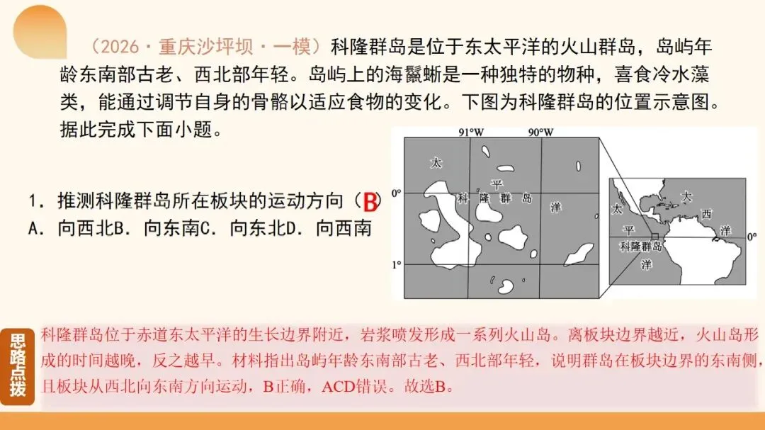 2027年高考地理一轮复习第14讲 板块运动、构造运动及其地貌(新新教材课件)构造运动及其地貌真正决定得分的是地质过程与构造判读-第10张图片-四季读书网 2027年高考地理一轮复习第14讲 板块运动、构造运动及其地貌(新新教材课件)构造运动及其地貌真正决定得分的是地质过程与构造判读-第10张图片-四季读书网