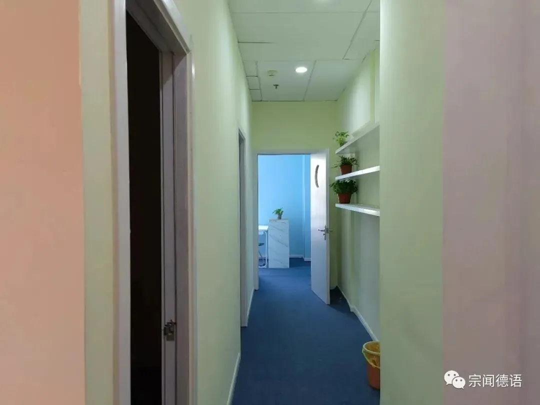 干货|2024高考德语书面表达专项训练|近三年真题话题 + AI 配套习题,应用文 + 大作文 + 图表作文一站式突破-第5张图片-四季读书网
