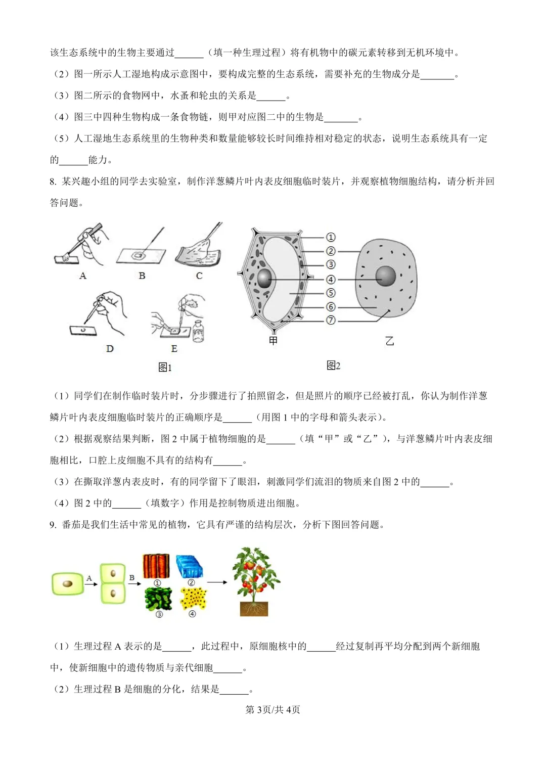 【生物期中考】四川成都初中九年级上册生物期中考真题-第4张图片-四季读书网 【生物期中考】四川成都初中九年级上册生物期中考真题-第4张图片-四季读书网