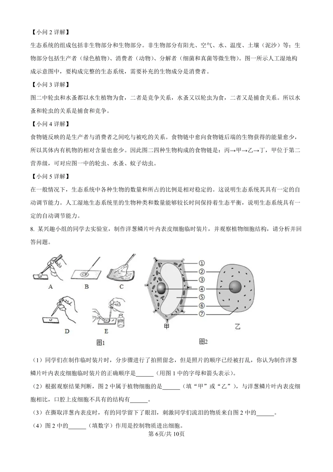 【生物期中考】四川成都初中九年级上册生物期中考真题-第11张图片-四季读书网 【生物期中考】四川成都初中九年级上册生物期中考真题-第11张图片-四季读书网