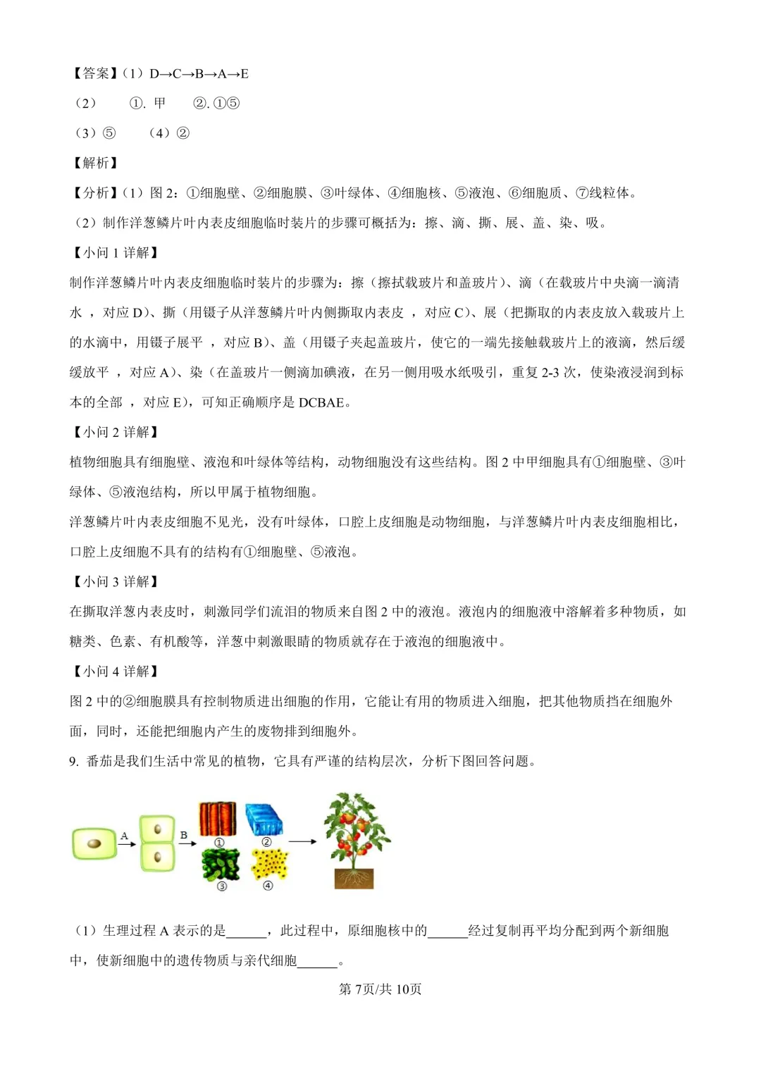 【生物期中考】四川成都初中九年级上册生物期中考真题-第12张图片-四季读书网 【生物期中考】四川成都初中九年级上册生物期中考真题-第12张图片-四季读书网