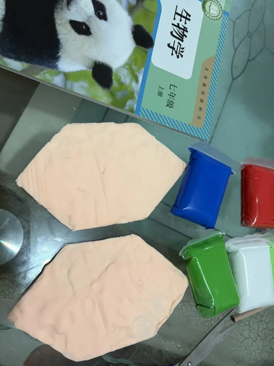 初一生物月考满分攻略|动植物细胞手工模型制作+必考知识点,一篇吃透!-第4张图片-四季读书网