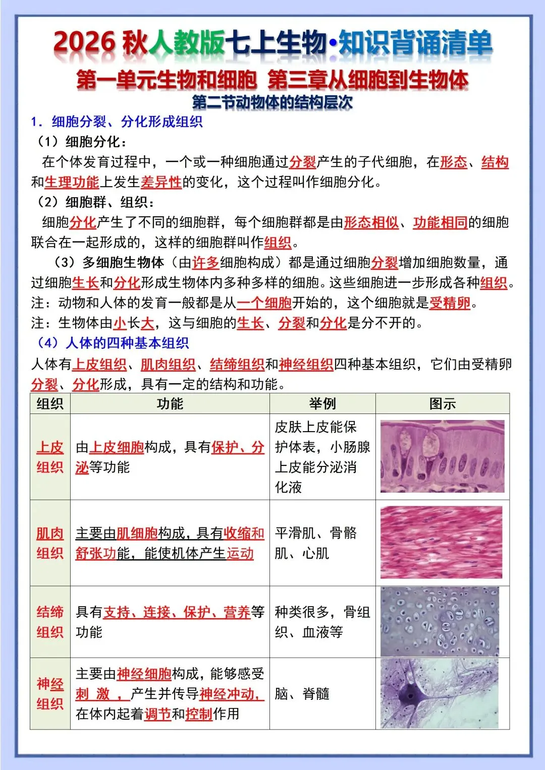 初一新教材 2026 七上生物重点梳理背诵版+填空版,电子打印版!-第4张图片-四季读书网