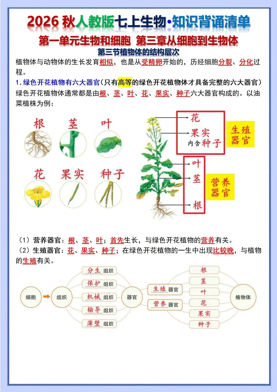 初一新教材 2026 七上生物重点梳理背诵版+填空版,电子打印版!-第6张图片-四季读书网
