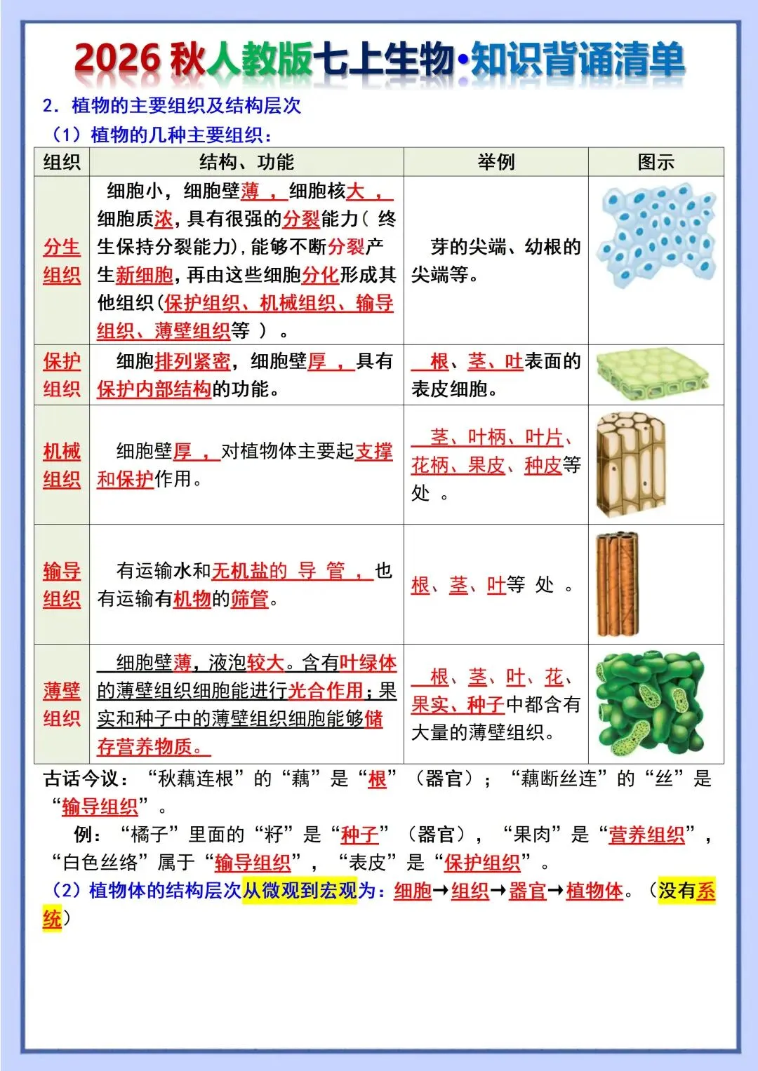 初一新教材 2026 七上生物重点梳理背诵版+填空版,电子打印版!-第7张图片-四季读书网