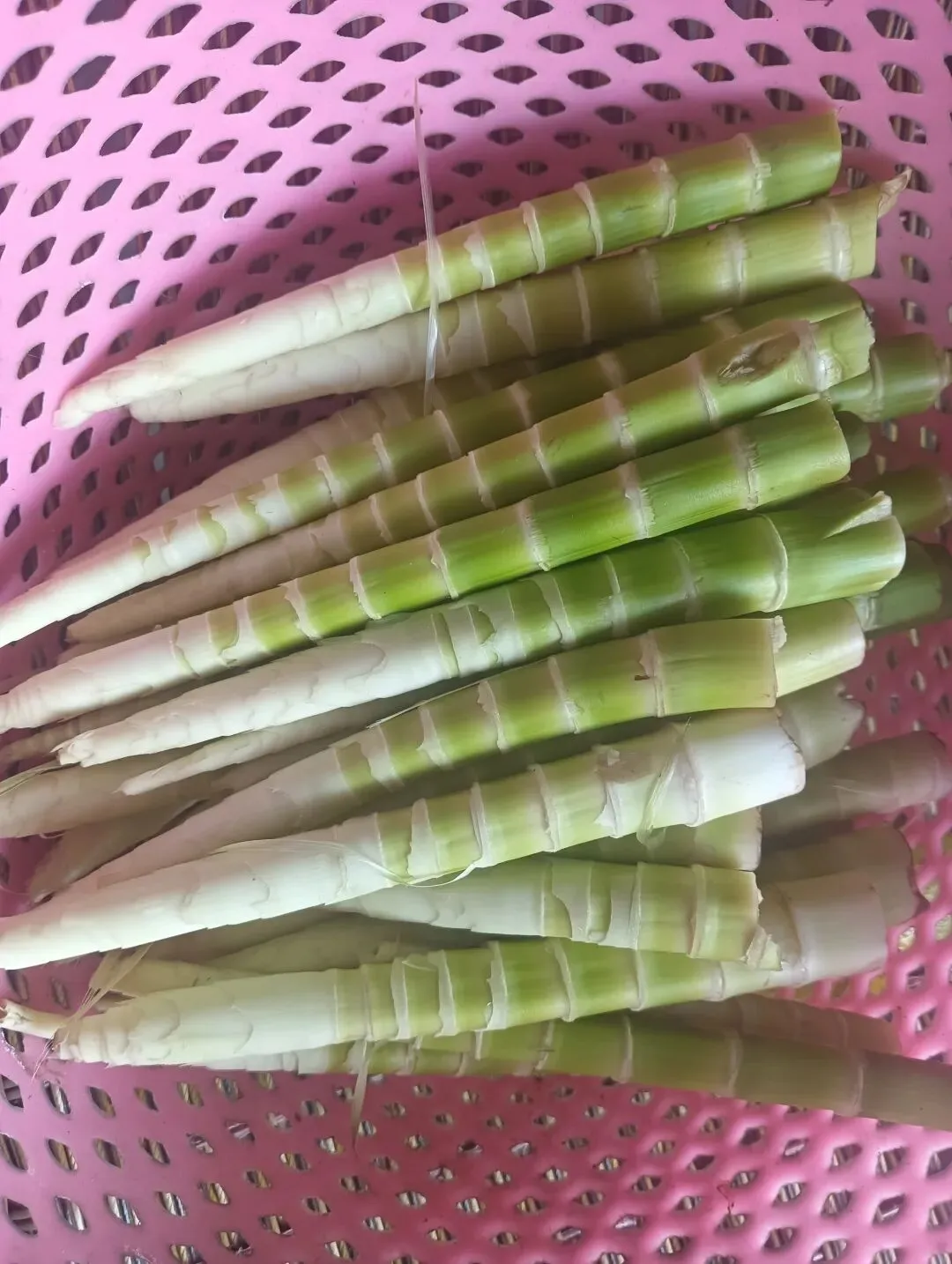 中考首先考的不是文化课,而是体育-第1张图片-四季读书网