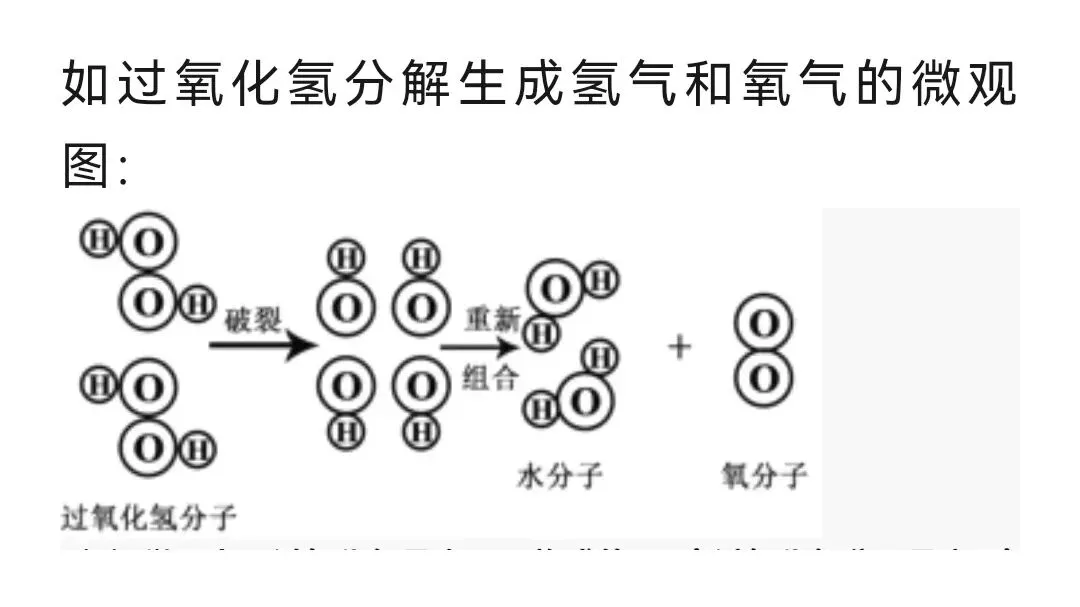 分子和原子到底啥关系?初三化学第一道坎,你要越过去-第2张图片-四季读书网
