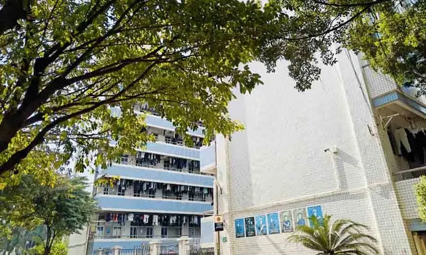 不想卷夏季高考?广东学考这条“公办专科捷径”别错过-第9张图片-四季读书网 不想卷夏季高考?广东学考这条“公办专科捷径”别错过-第9张图片-四季读书网