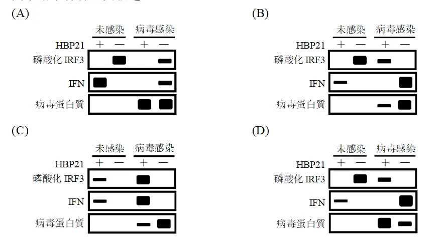 2022年度台湾省高考生物考科试卷-第9张图片-四季读书网 2022年度台湾省高考生物考科试卷-第9张图片-四季读书网