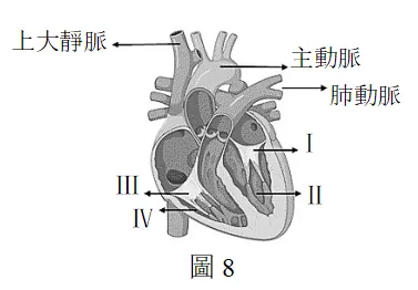2022年度台湾省高考生物考科试卷-第12张图片-四季读书网 2022年度台湾省高考生物考科试卷-第12张图片-四季读书网