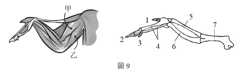 2022年度台湾省高考生物考科试卷-第13张图片-四季读书网 2022年度台湾省高考生物考科试卷-第13张图片-四季读书网