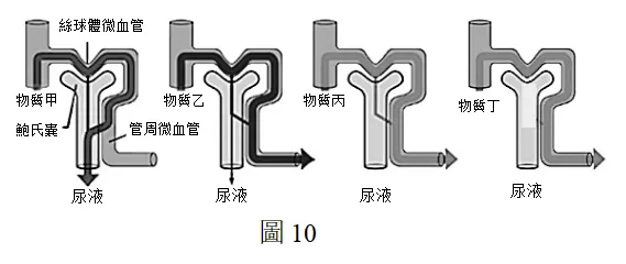 2022年度台湾省高考生物考科试卷-第14张图片-四季读书网 2022年度台湾省高考生物考科试卷-第14张图片-四季读书网