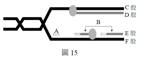 2022年度台湾省高考生物考科试卷-第21张图片-四季读书网 2022年度台湾省高考生物考科试卷-第21张图片-四季读书网