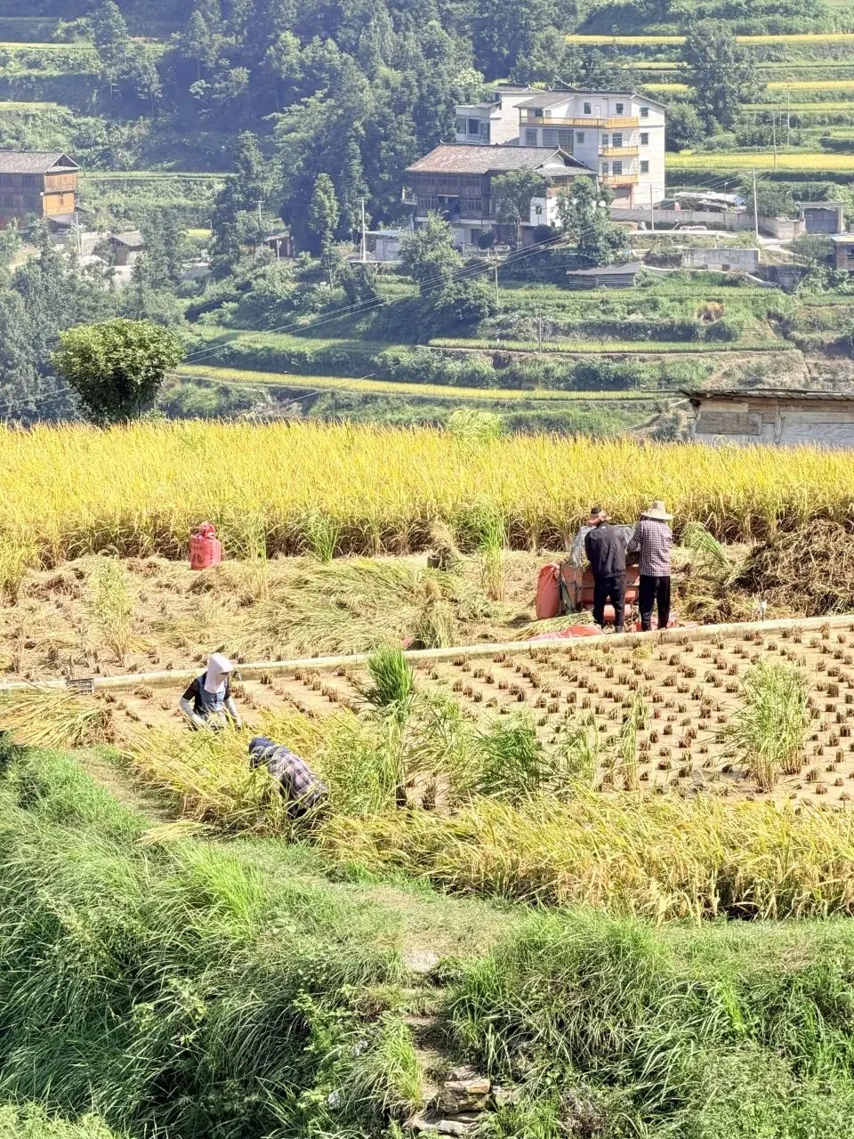 命题研究|五组真题验证课标修订下的地理命题-第14张图片-四季读书网