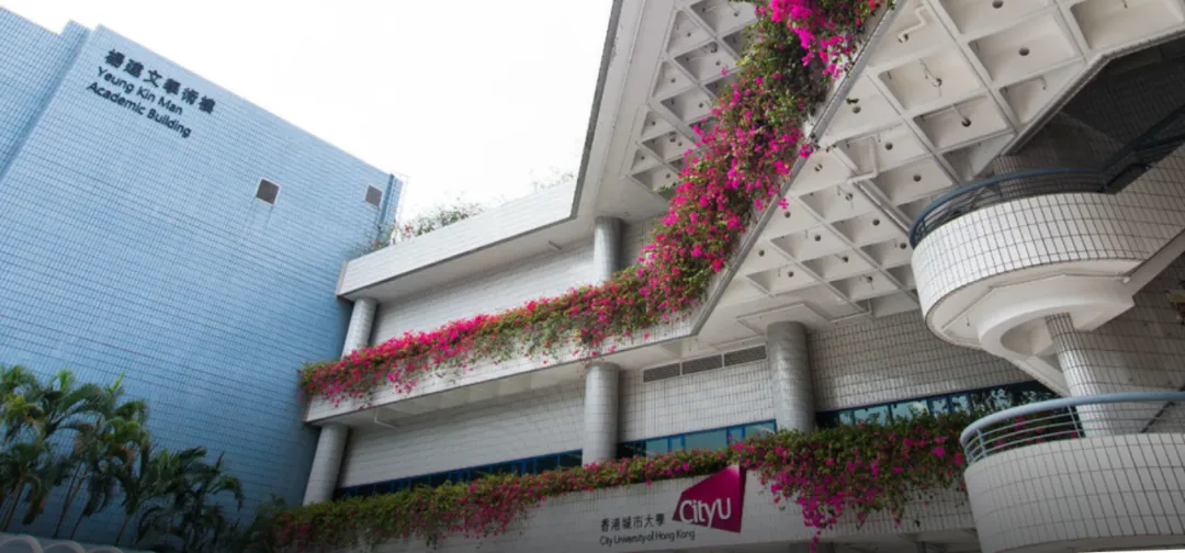 【香港】又一个高考备选名校!香港城市大学2027本科申请通道已开启-第1张图片-四季读书网
