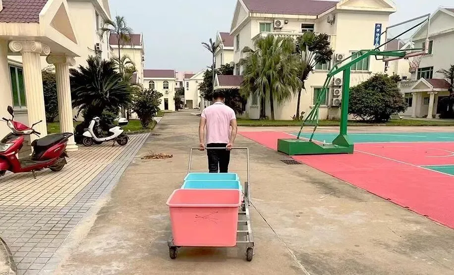 以笔为剑,蓄力前行|老鹰海南第一次模拟考表彰大会-第49张图片-四季读书网 以笔为剑,蓄力前行|老鹰海南第一次模拟考表彰大会-第49张图片-四季读书网