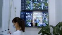 以笔为剑,蓄力前行|老鹰海南第一次模拟考表彰大会-第57张图片-四季读书网 以笔为剑,蓄力前行|老鹰海南第一次模拟考表彰大会-第57张图片-四季读书网