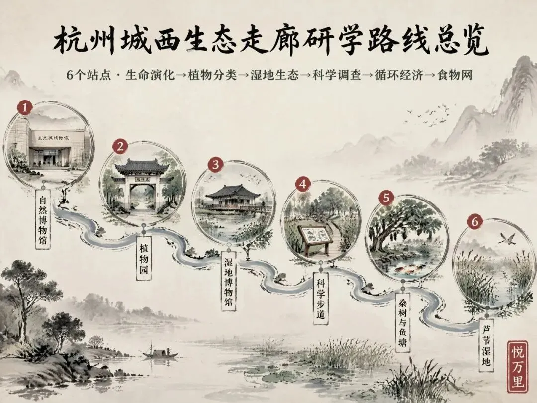 研学旅行路线:中考生物必考!带娃走完杭州城西生态走廊,亲手测水质、数物种、追候鸟-第2张图片-四季读书网
