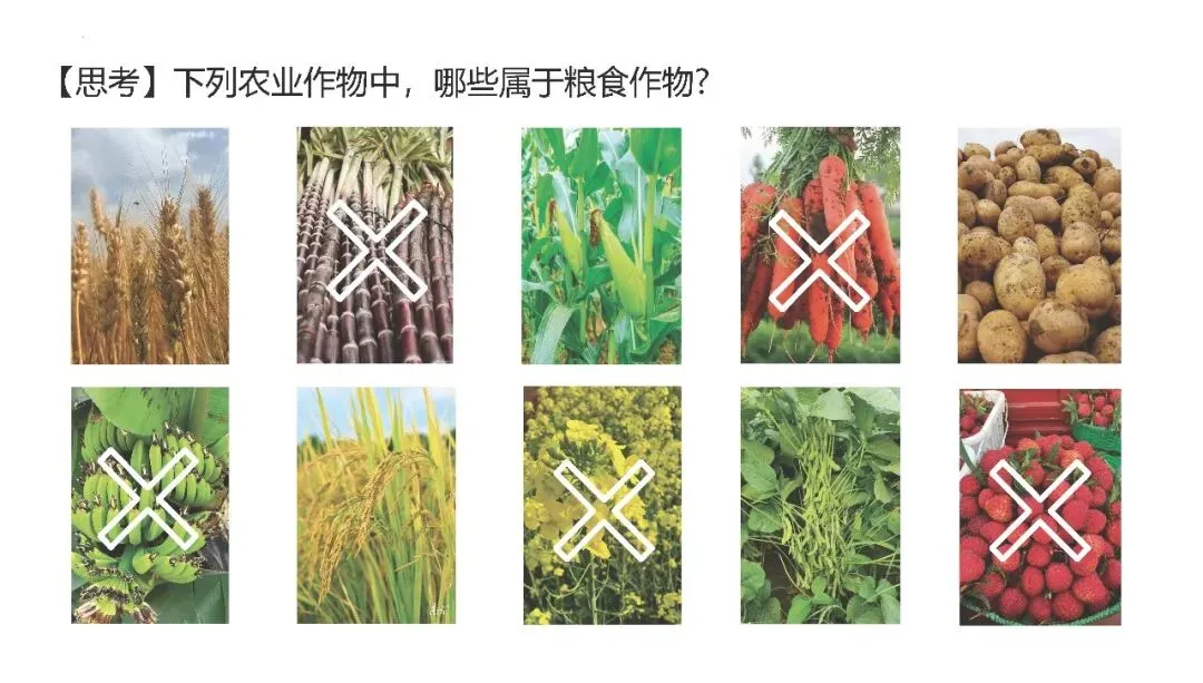 【2027高考一轮复习】2.1耕地资源与国家粮食安全PPT-第3张图片-四季读书网