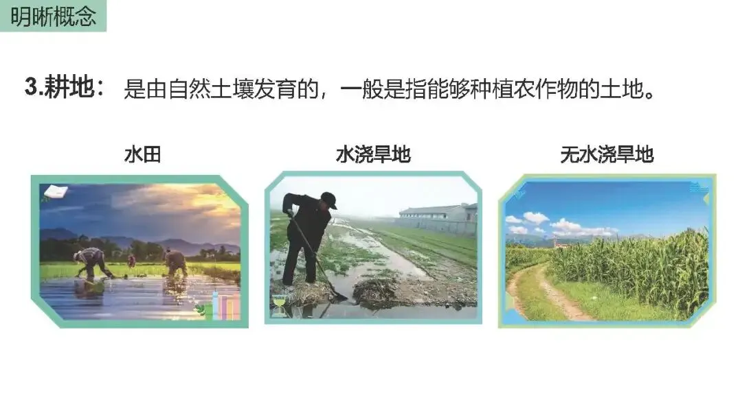 【2027高考一轮复习】2.1耕地资源与国家粮食安全PPT-第4张图片-四季读书网