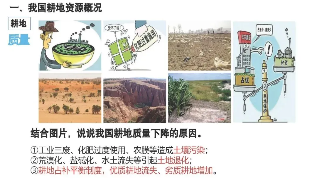 【2027高考一轮复习】2.1耕地资源与国家粮食安全PPT-第7张图片-四季读书网