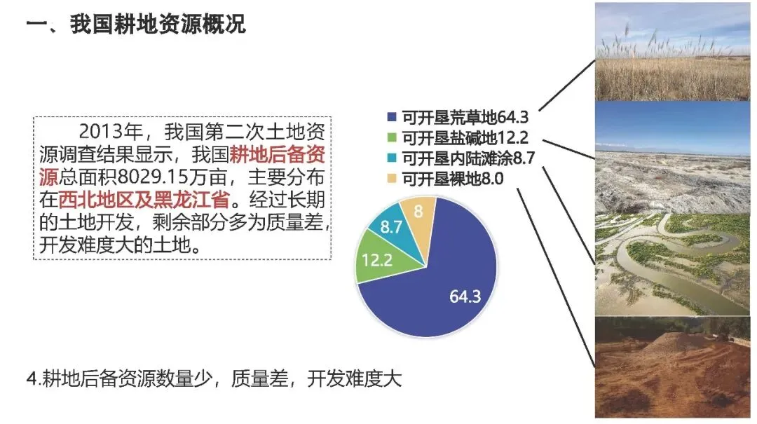 【2027高考一轮复习】2.1耕地资源与国家粮食安全PPT-第9张图片-四季读书网