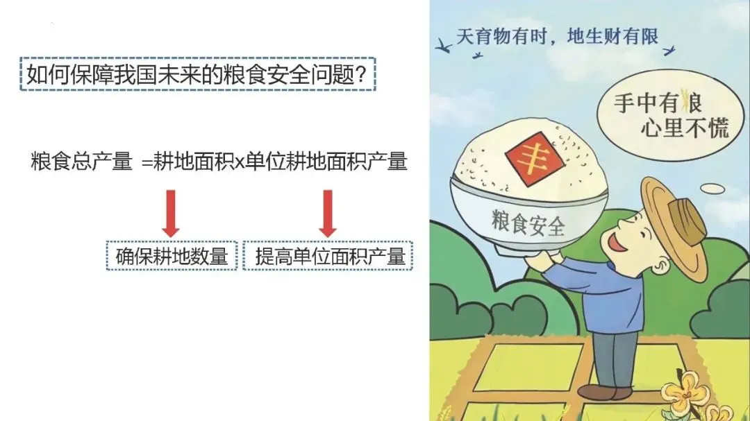 【2027高考一轮复习】2.1耕地资源与国家粮食安全PPT-第13张图片-四季读书网