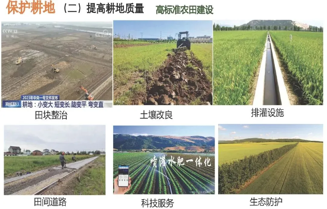 【2027高考一轮复习】2.1耕地资源与国家粮食安全PPT-第17张图片-四季读书网