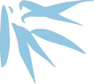 2027年山东中医药大学成人高考招生简章-第3张图片-四季读书网 2027年山东中医药大学成人高考招生简章-第3张图片-四季读书网