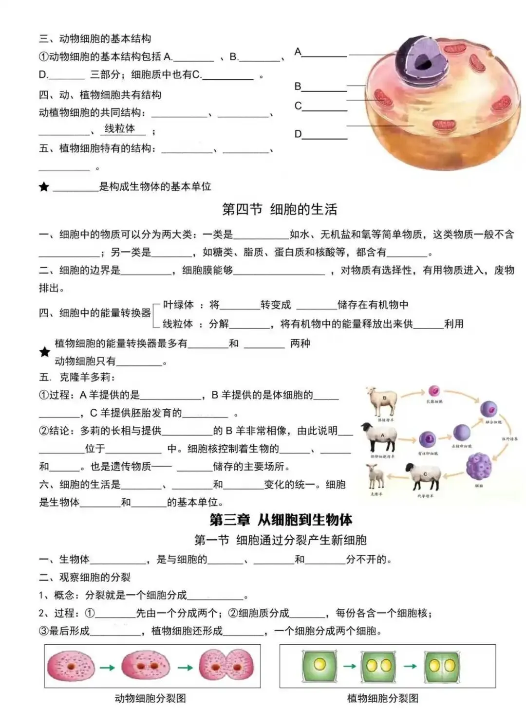 初一新版 2026 七上生物全册核心梳理背诵总结+填空总结,电子打印版!-第6张图片-四季读书网