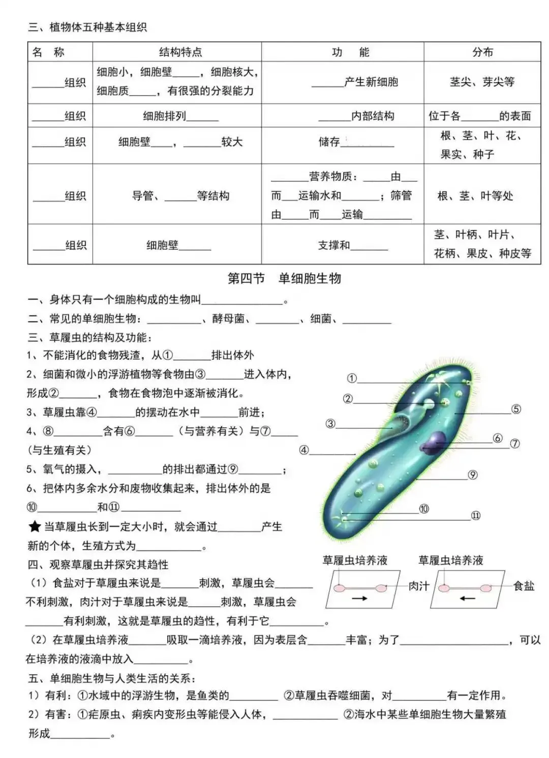 初一新版 2026 七上生物全册核心梳理背诵总结+填空总结,电子打印版!-第7张图片-四季读书网