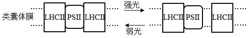 生物高考真题 | 2023年高考生物真题(湖北卷)-第3张图片-四季读书网 生物高考真题 | 2023年高考生物真题(湖北卷)-第3张图片-四季读书网